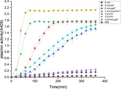 PgtE Enzyme of Salmonella enterica Shares the Similar Biological Roles to Plasminogen Activator (Pla) in Interacting With DEC-205 (CD205), and Enhancing Host Dissemination and Infectivity by Yersinia pestis